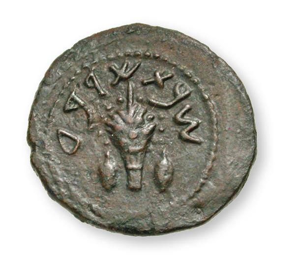 A nagy lázadás negyedik évében (69/70) vert bronzérméken egy lulav-csokor látható, amelyet etrogok és a „negyedik év” felirat szegélyez.