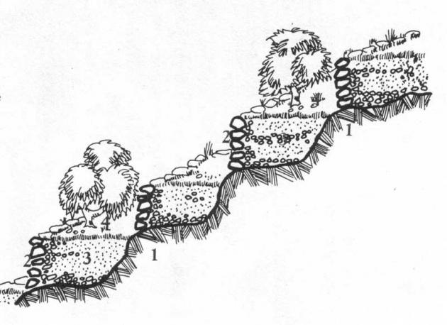 terraces-diagram.jpg