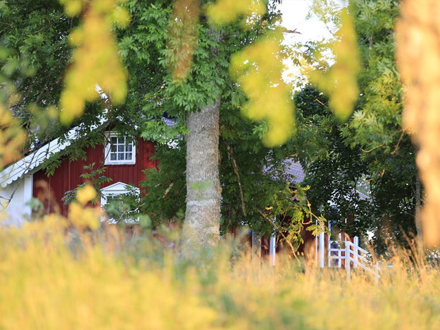 Skandináv ház – helyi sajátosságokra alapozva