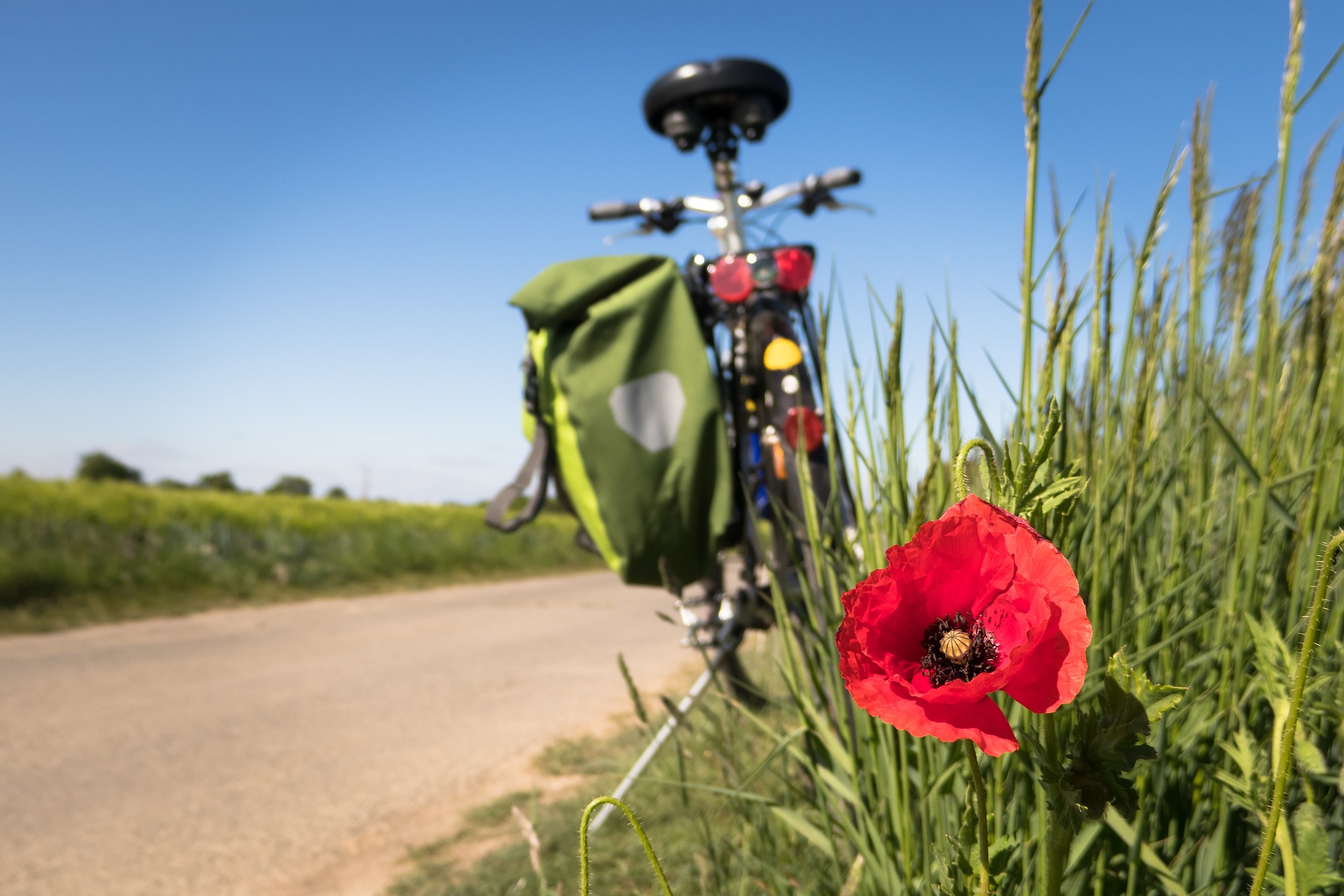 to-go-biking-5178398_1920.jpg