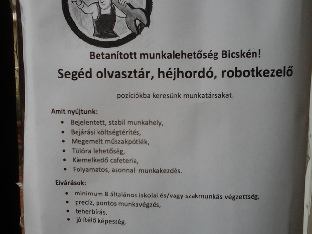 Betanított munkalehetőség Bicskén - Segéd olvasztár, héjhordó, robotkezelő
