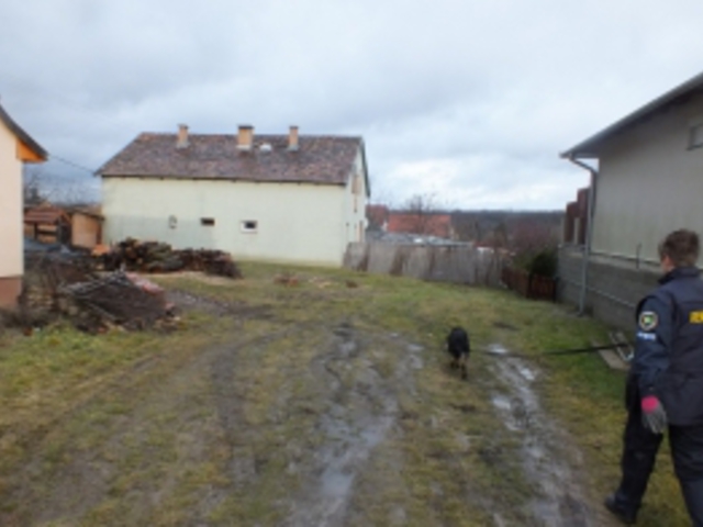 Afra kiszagolta a tolvajt, nyomra vezette a rendőröket