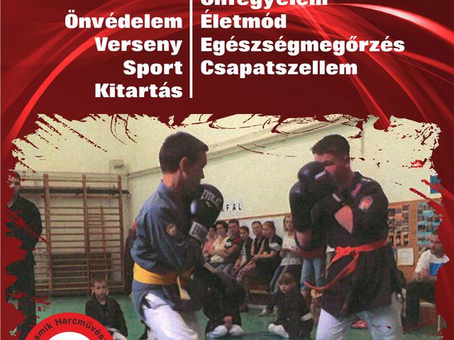 A DHKSE tagfelvételt hirdet - Jelentkezni 7 éves kortól lehet