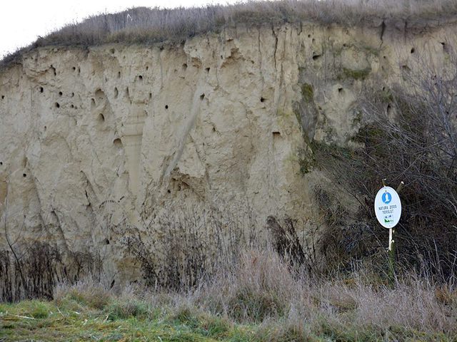 Szemétkupacok a Pócalján