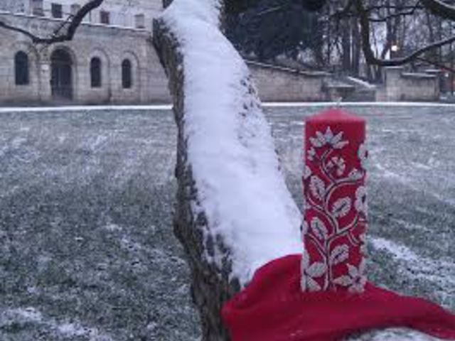 Téli varázs a kastélyparkban