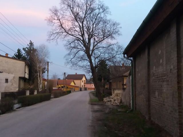 Szarnak-bajnak nincs gazdája, de a remény hal meg utoljára