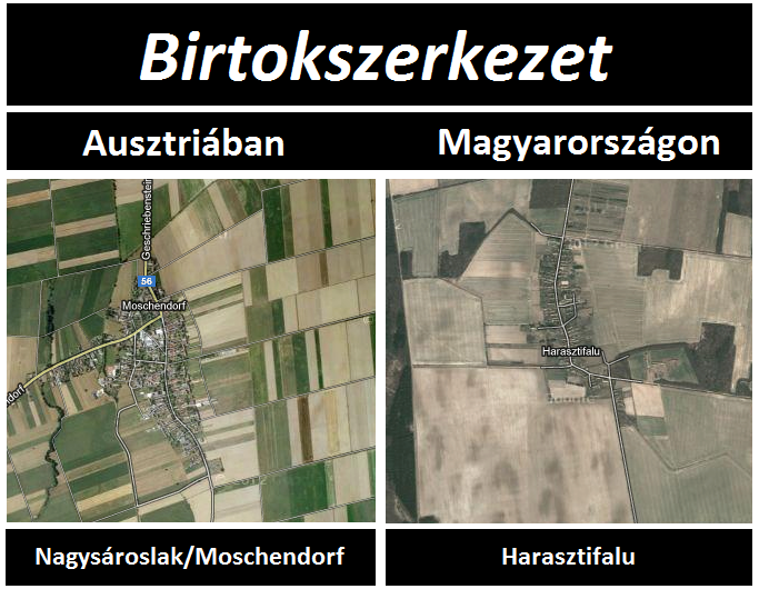 birtokszerkezet.png