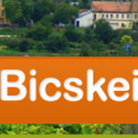 Gratulálunk a bicskei Balaton-átúszóknak