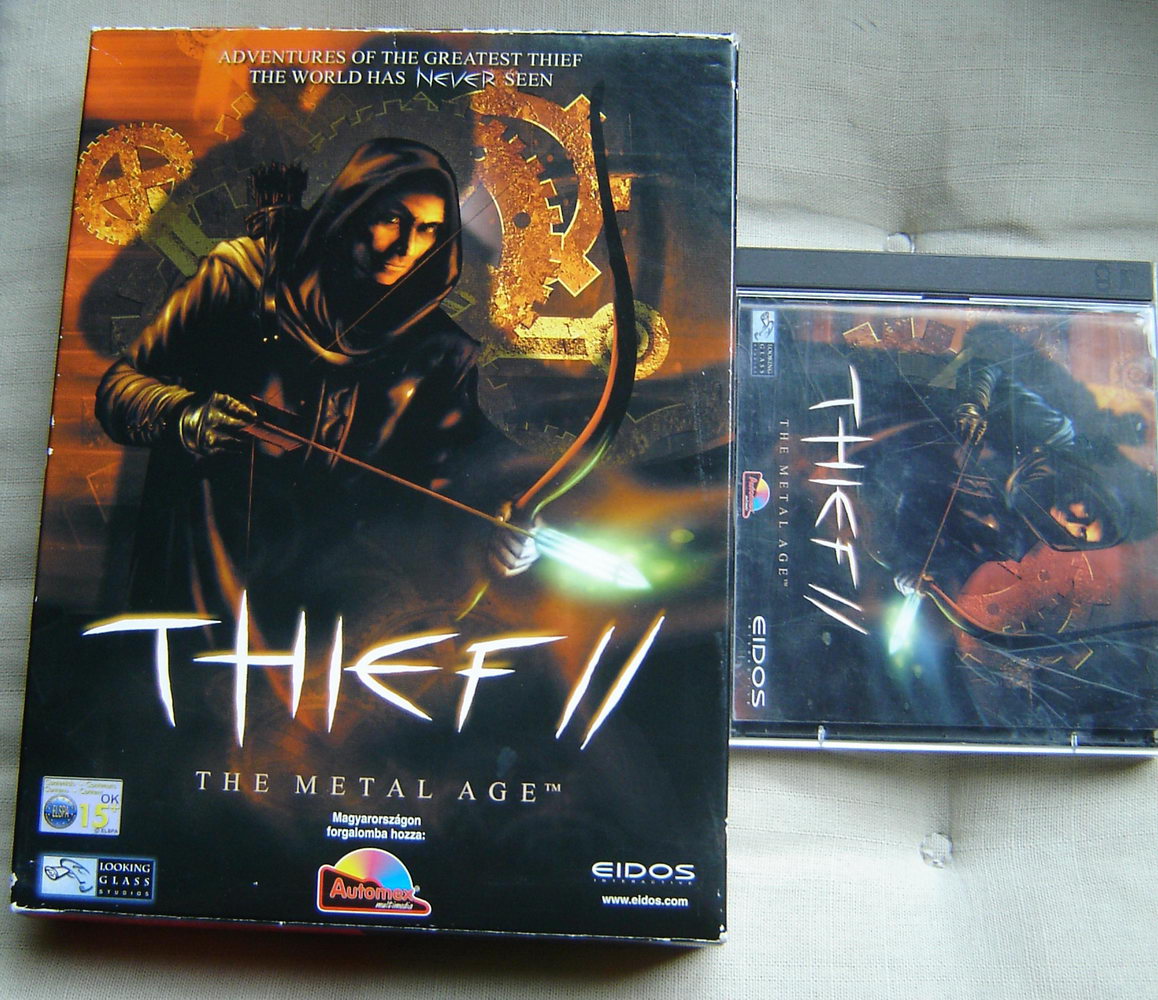 thief2.jpg