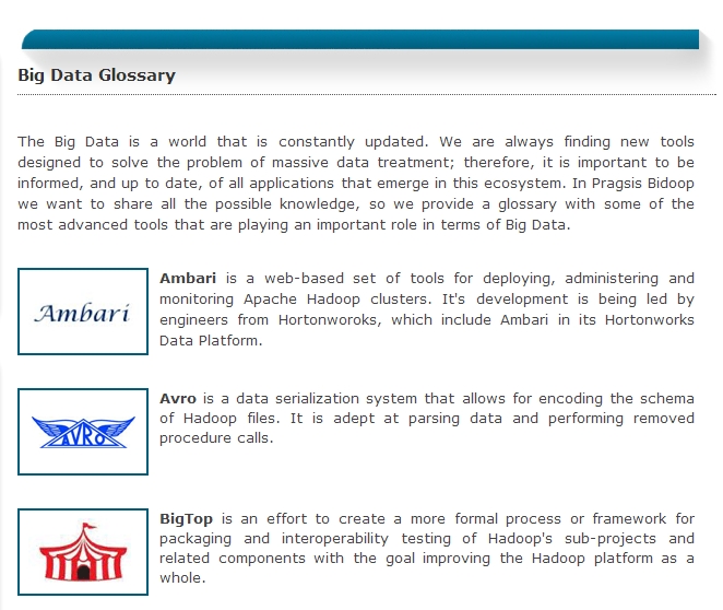 2013-02 Big Data Glossary.jpg