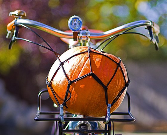 happy bicycle bike halloween2.jpg