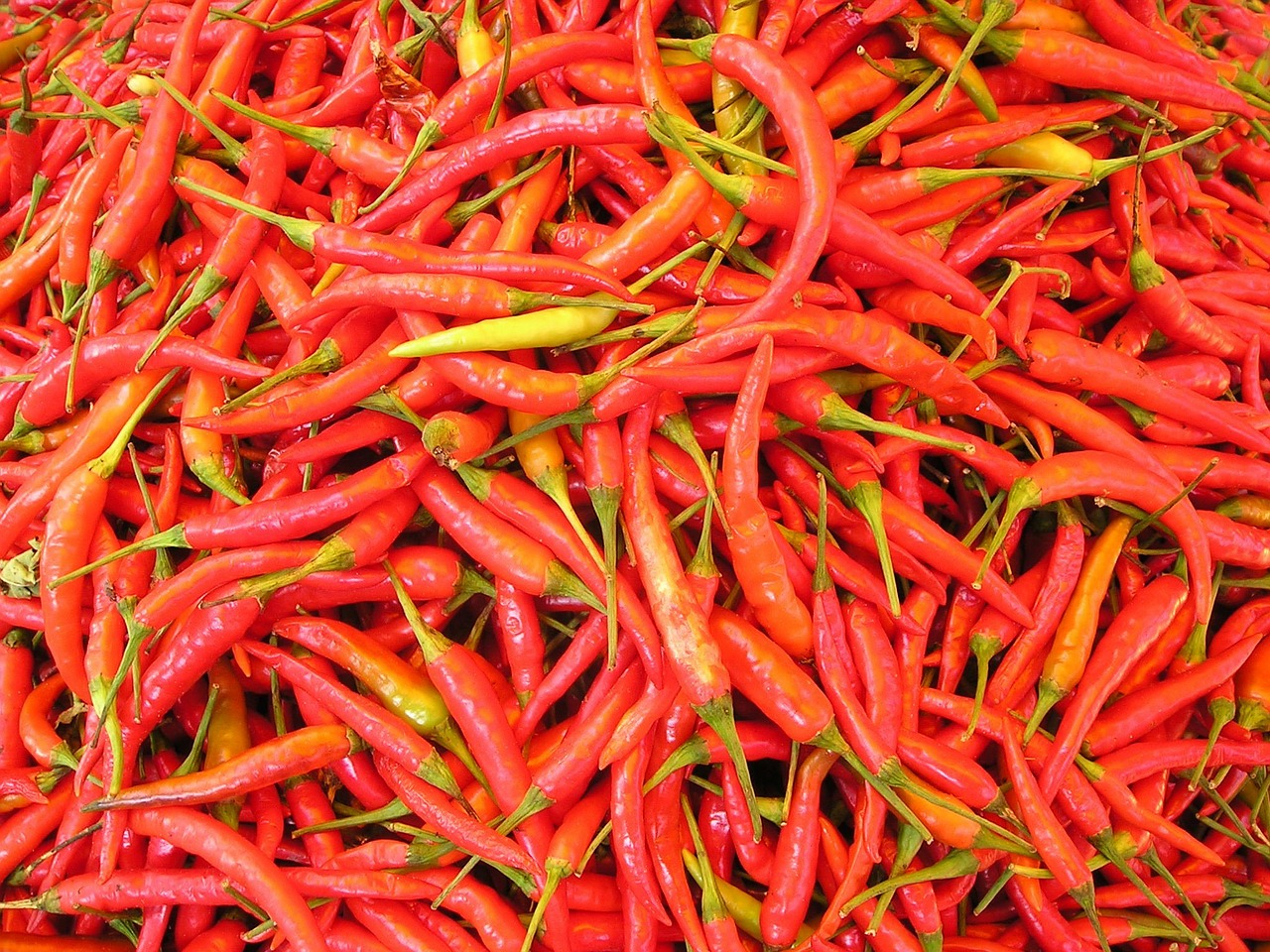 chilli-pepper-449_1280.jpg