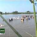 video TVR 1 - bioeel triathlon si xterra saint ana lake