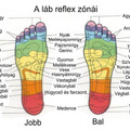 Reflexológia - avagy az egészséges lábmasszázs