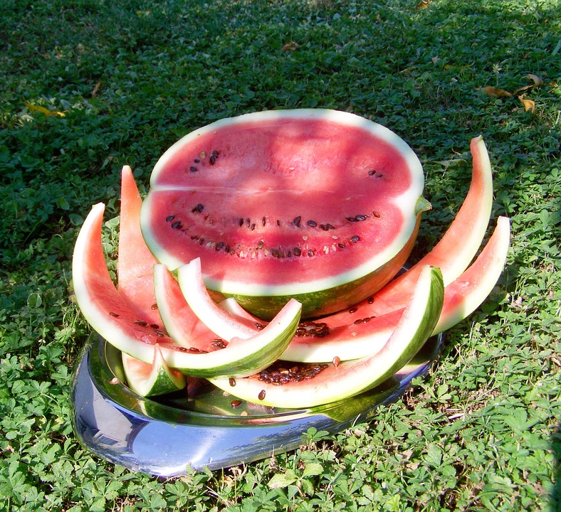 melon-871734_960_720.jpg