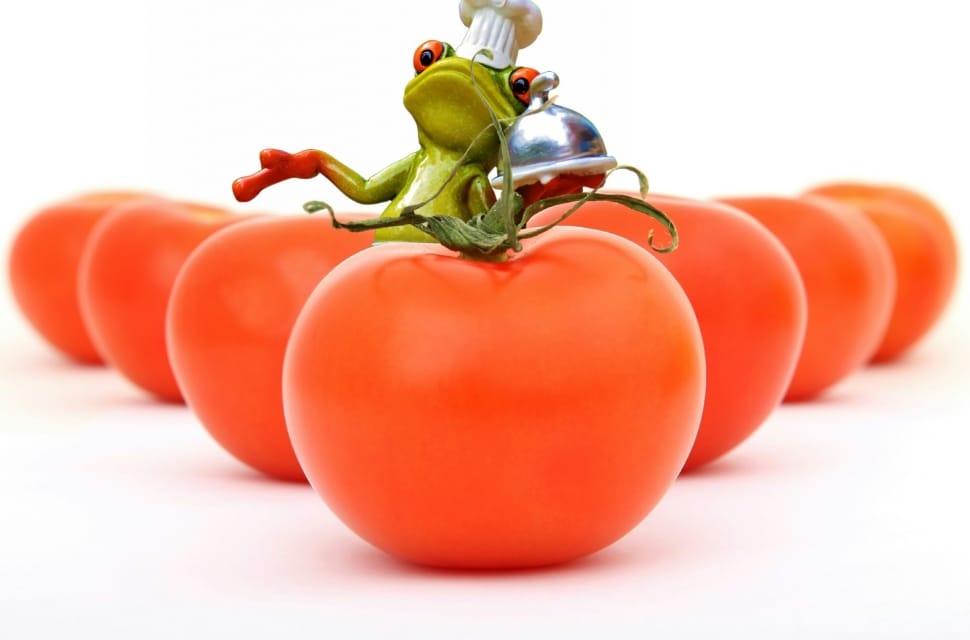 tomatoes-cooking-frog-cook-healthy-wallpaper-preview.jpg