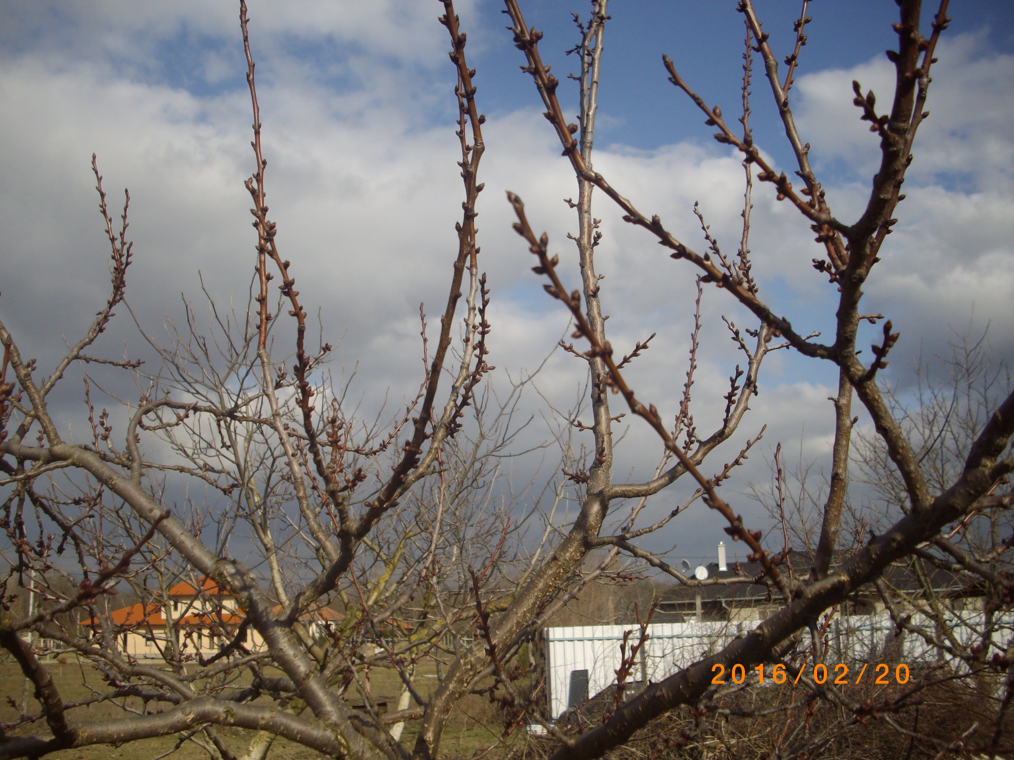 imgp5591.JPG