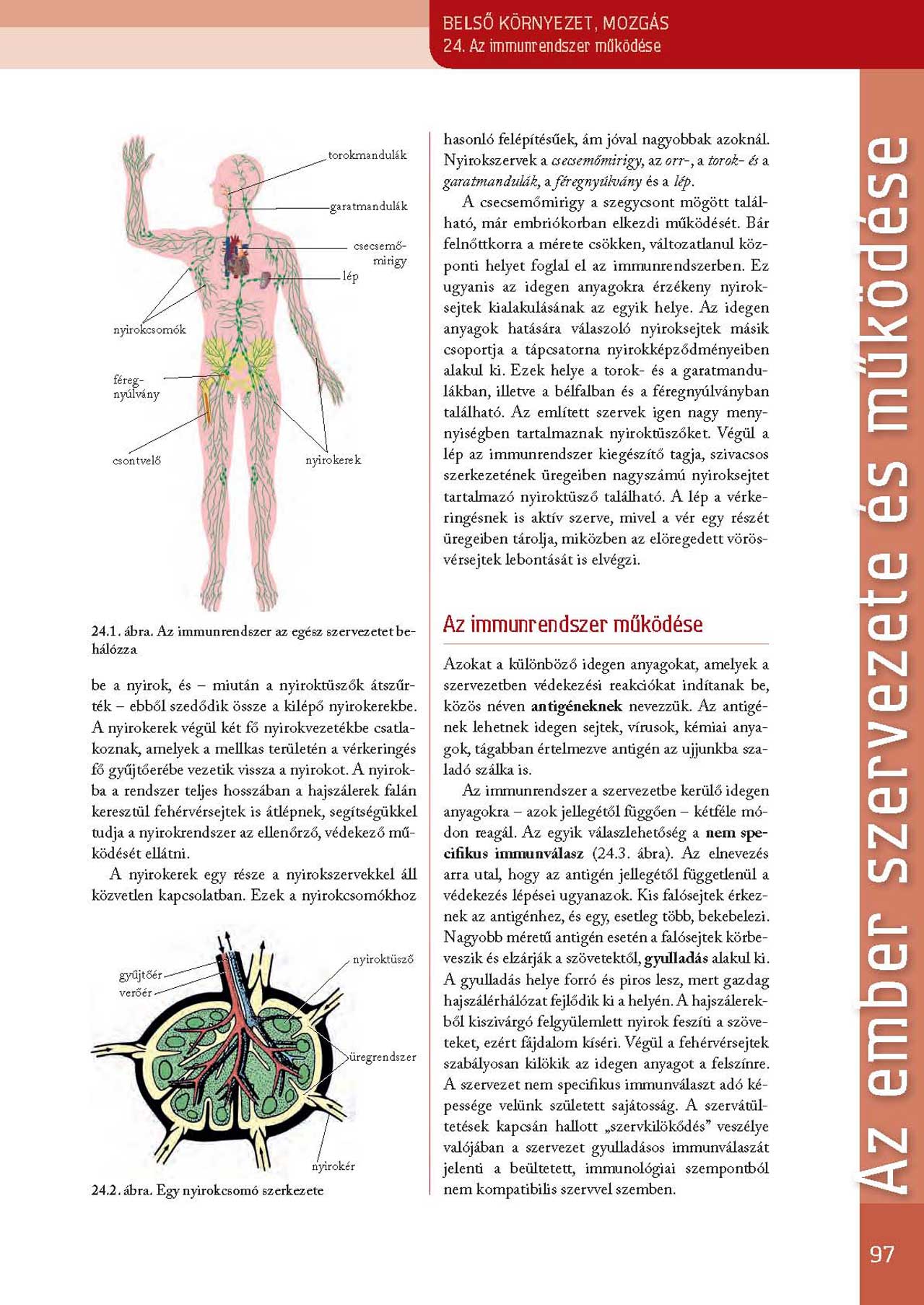 Szerényi G. Biológia tankönyv 9-10, II. kötet, Nat 2020, Oktatási Hivatal (97-99 o.)