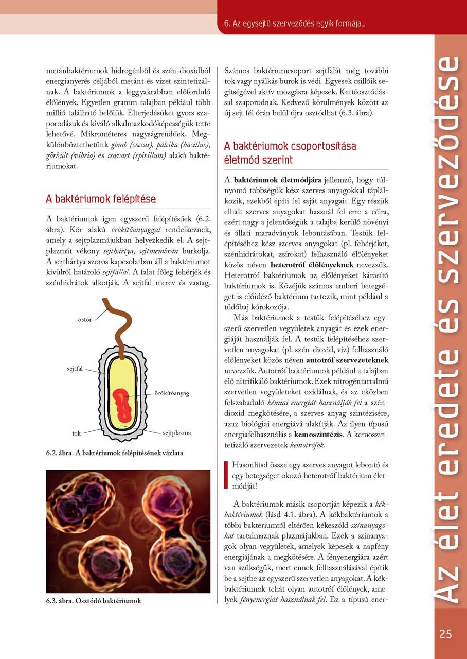 oh-bio09tb_teljes_page_025.jpg