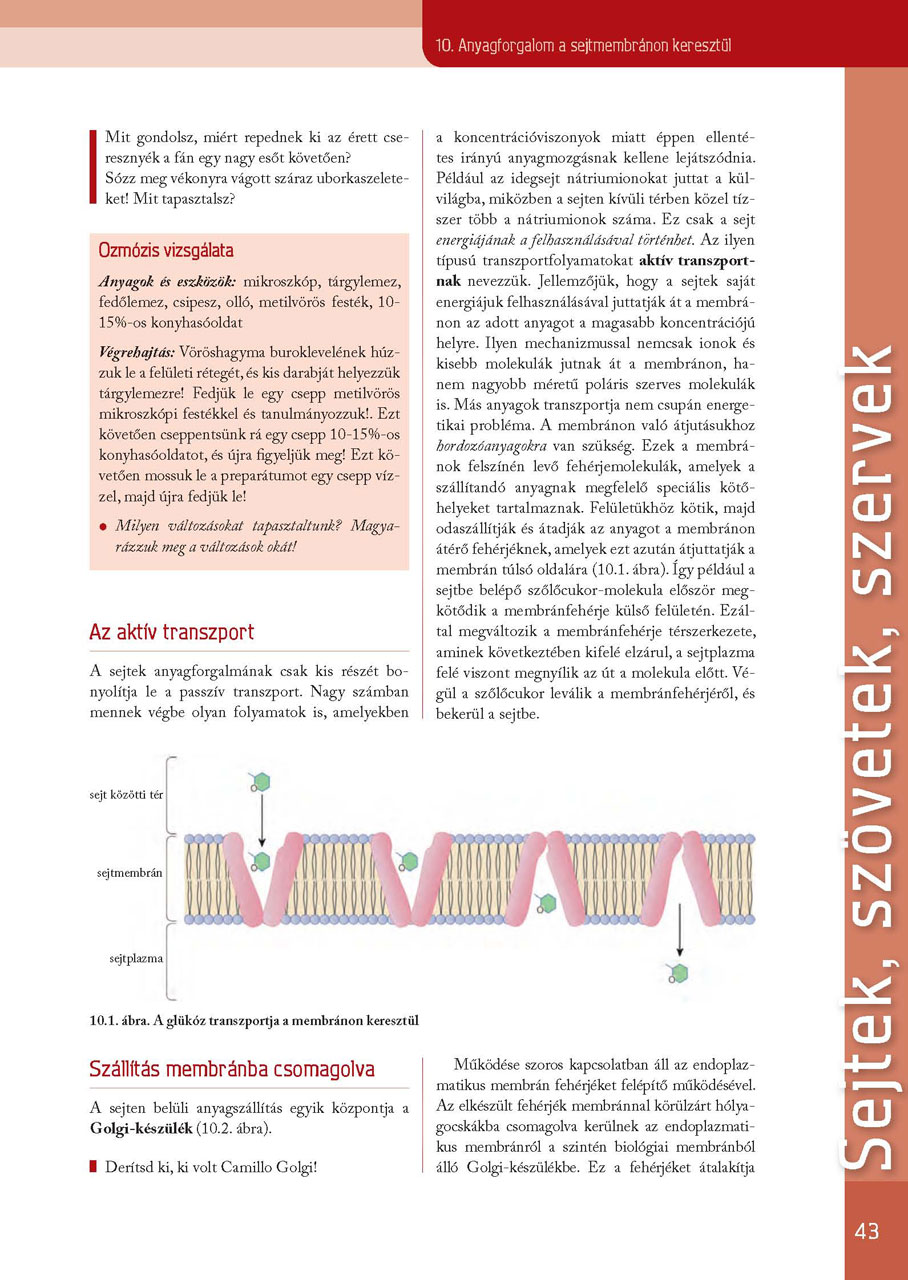 oh-bio09tb_teljes_page_043.jpg