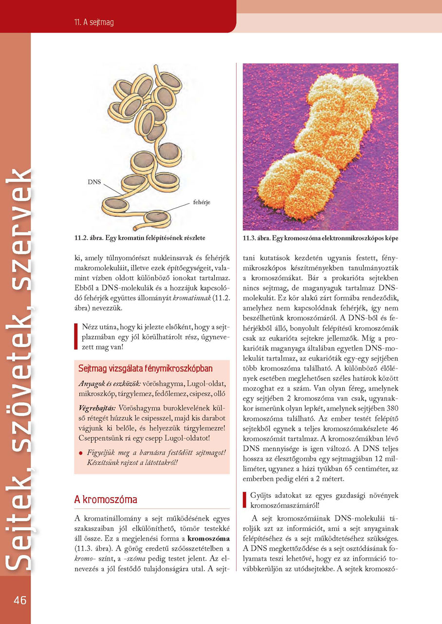 oh-bio09tb_teljes_page_046.jpg