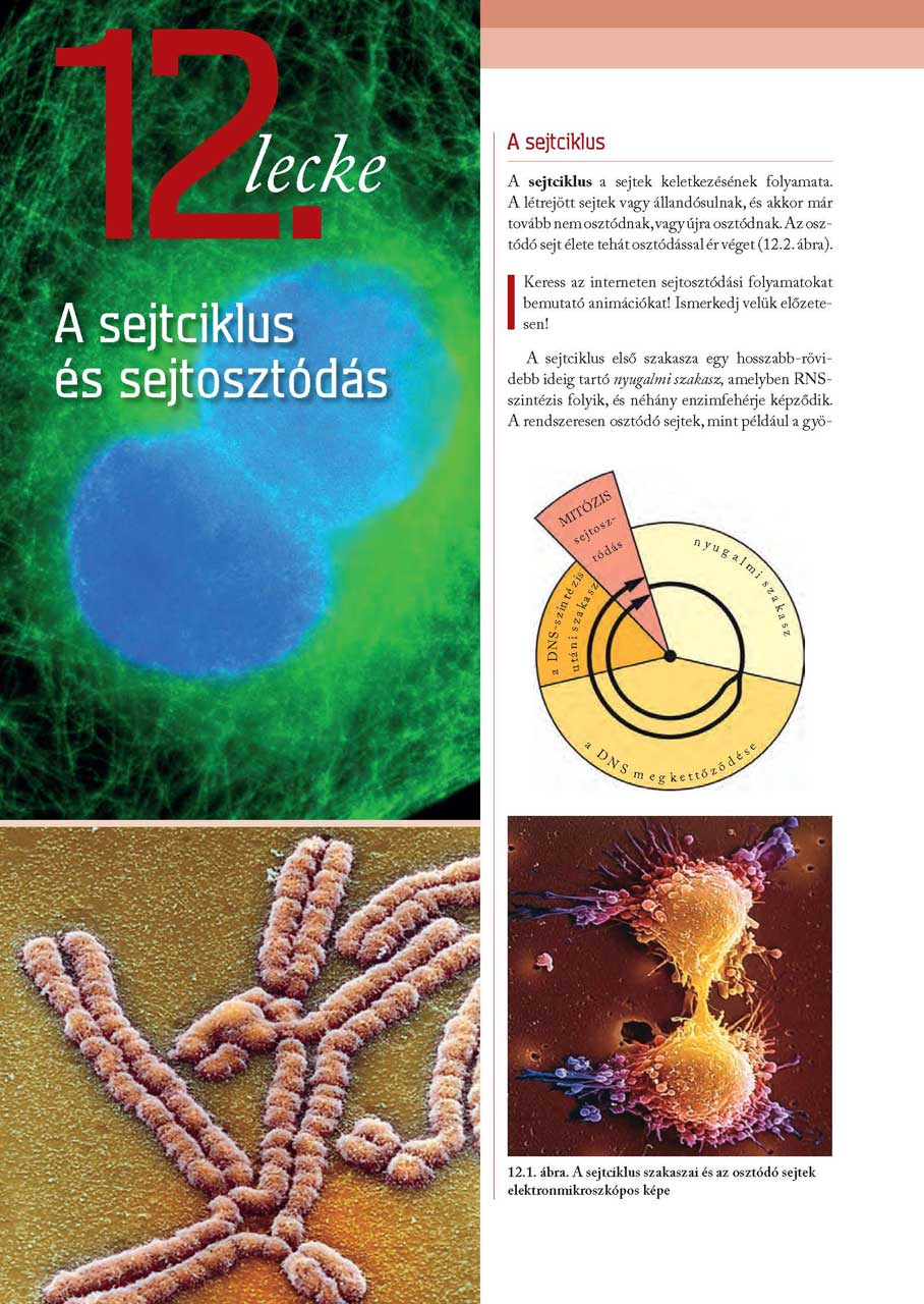 oh-bio09tb_teljes_page_048.jpg