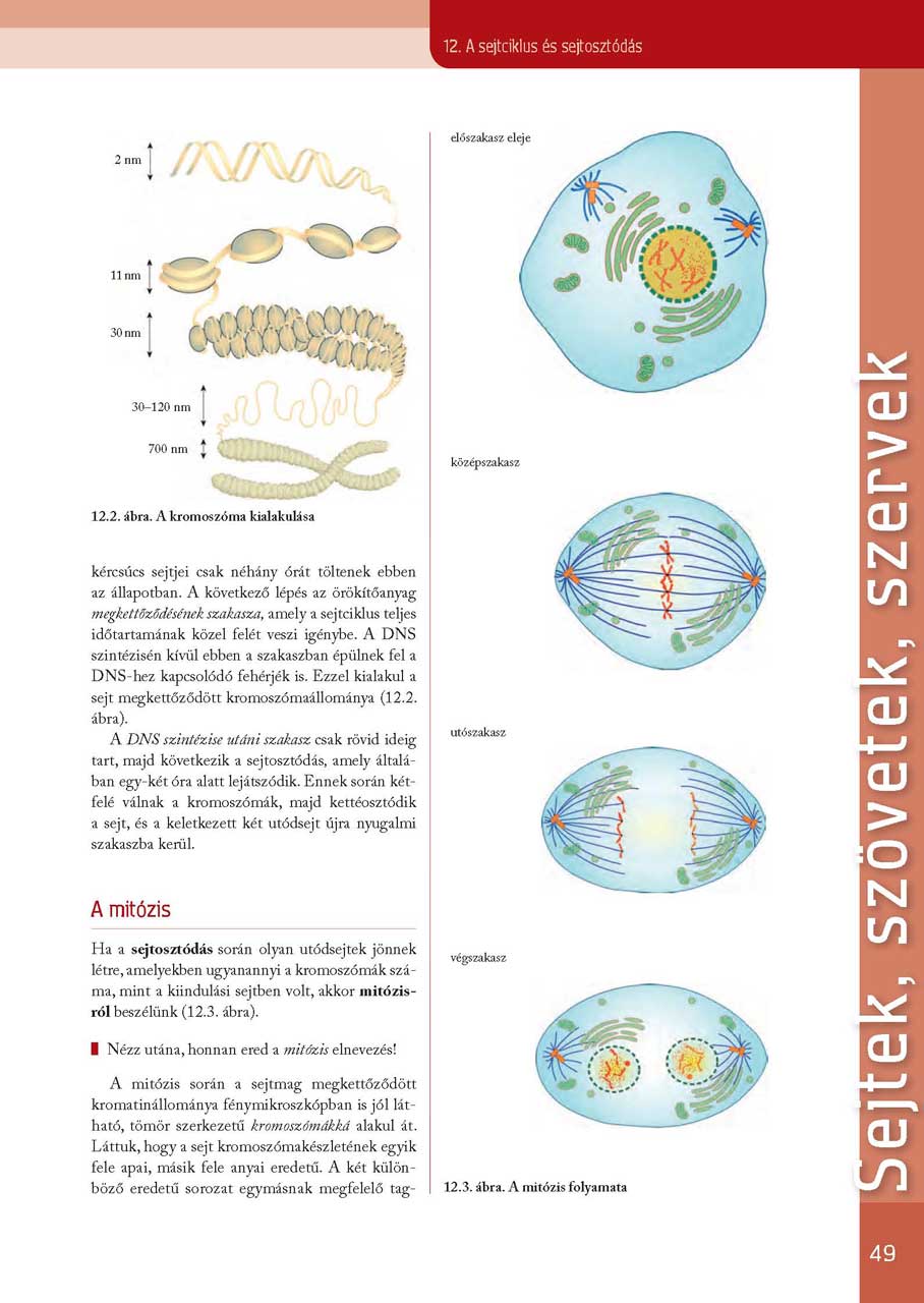 oh-bio09tb_teljes_page_049.jpg