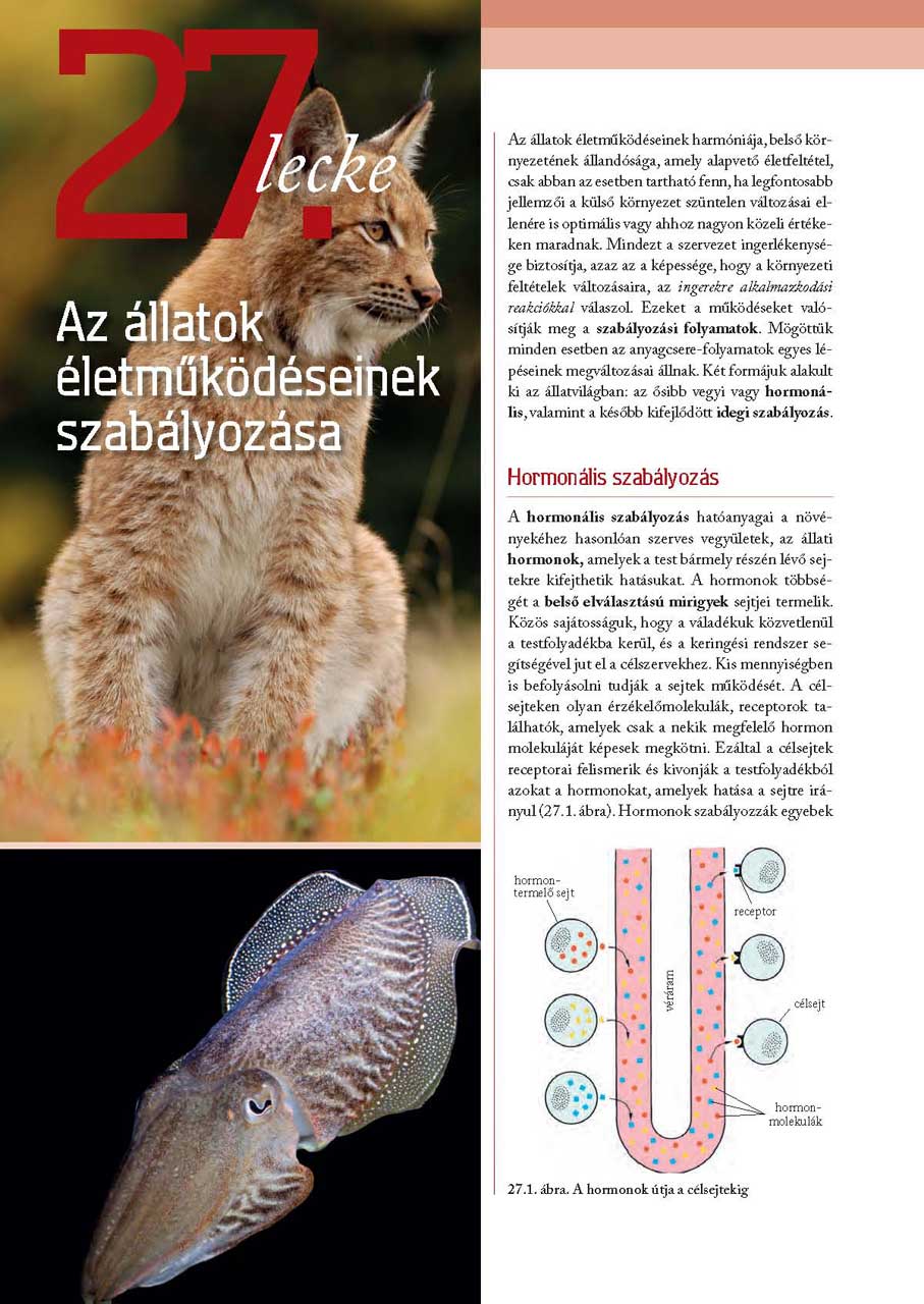 oh-bio09tb_teljes_page_104.jpg