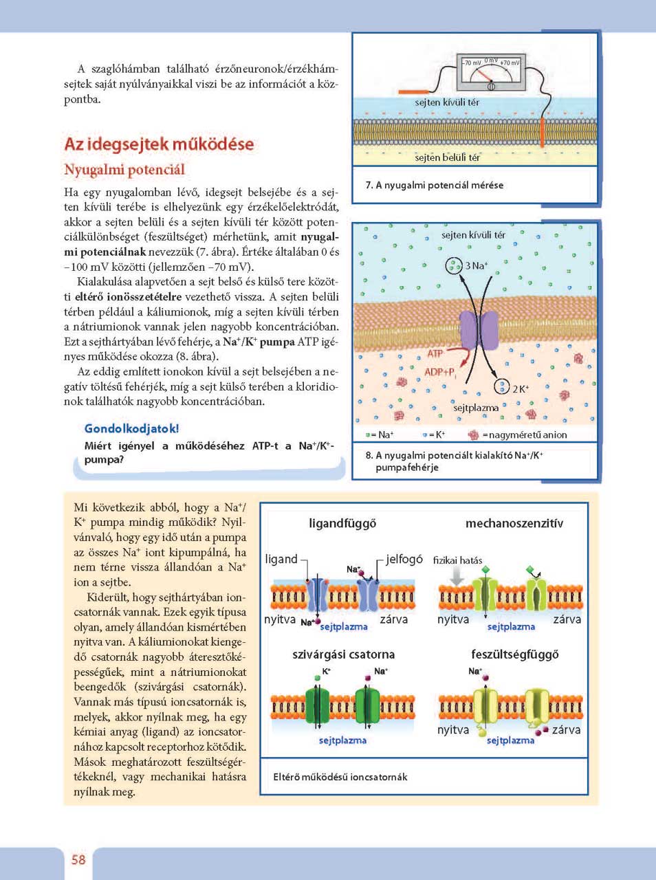 oh-bio910ta_ii_teljes_page_059.jpg