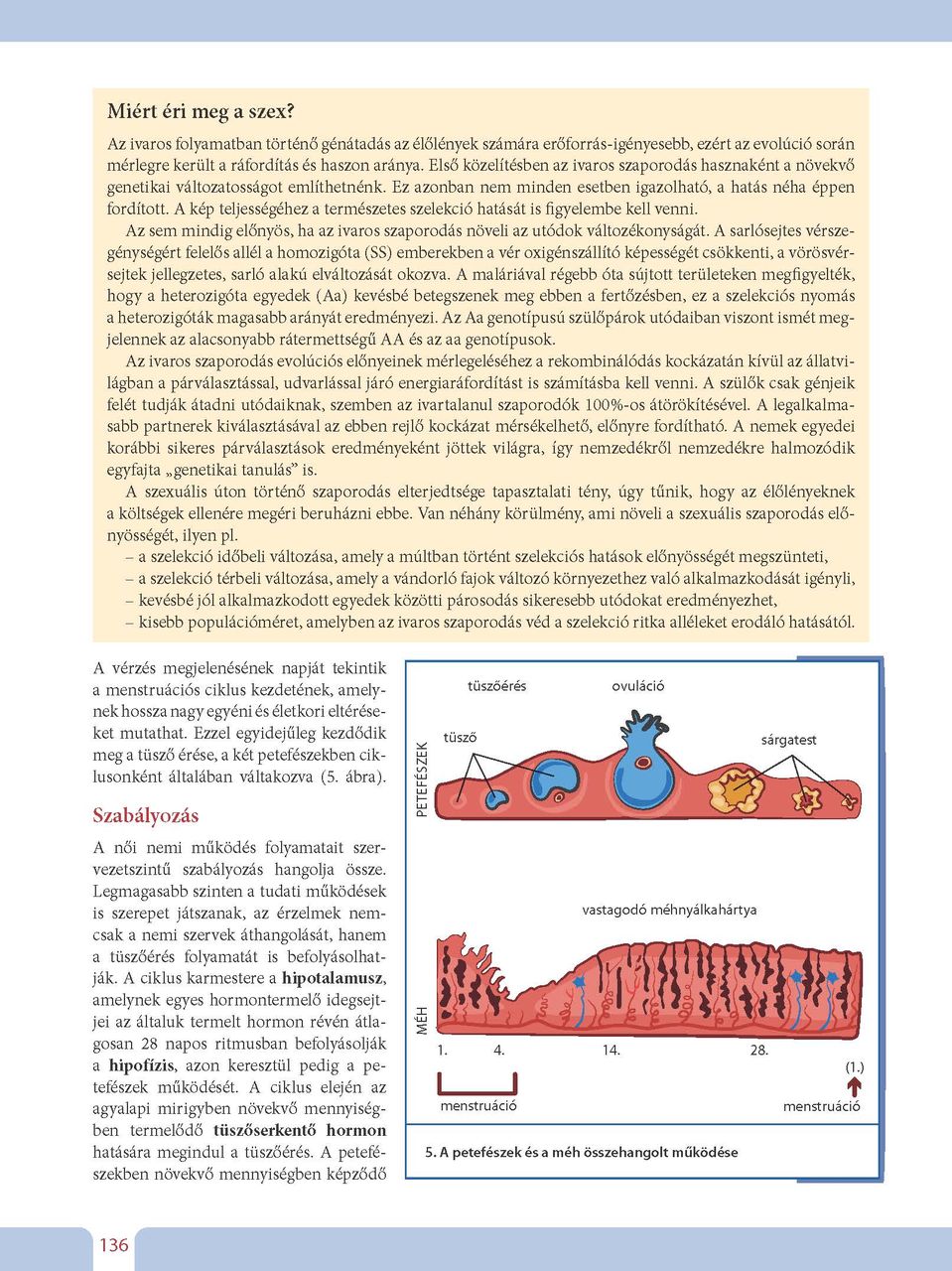 oh-bio910ta_ii_teljes_page_136.jpg