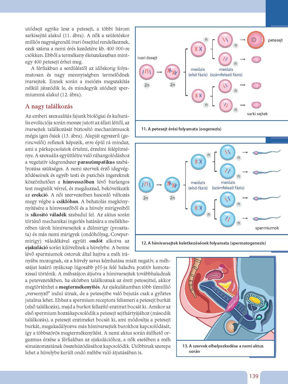 oh-bio910ta_ii_teljes_page_139.jpg