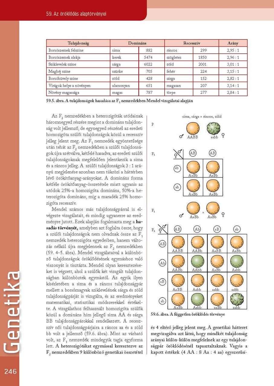 oh-bio910tb_i_teljes_page_247.jpg