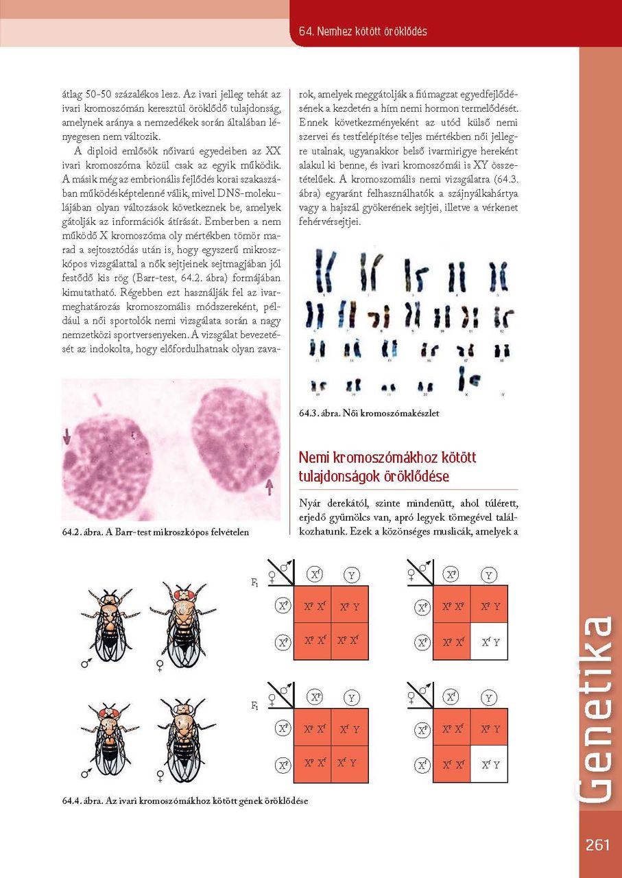 oh-bio910tb_i_teljes_page_262.jpg