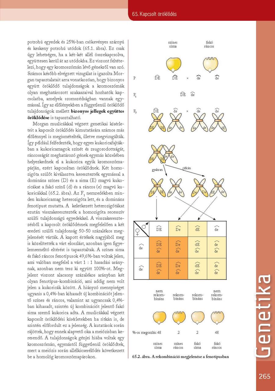 oh-bio910tb_i_teljes_page_266.jpg