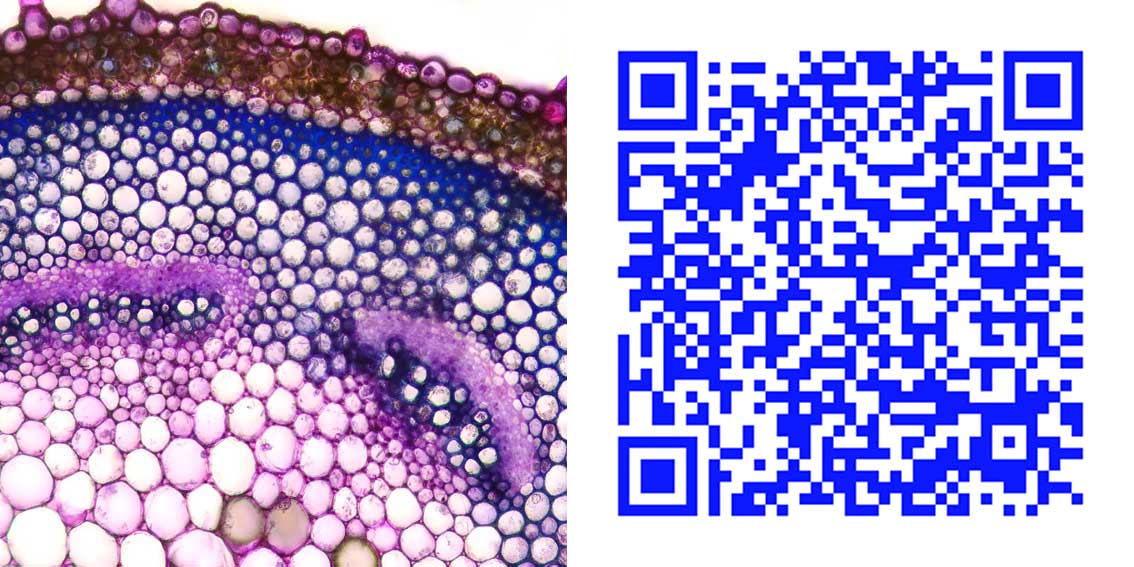 qr10_1.jpg