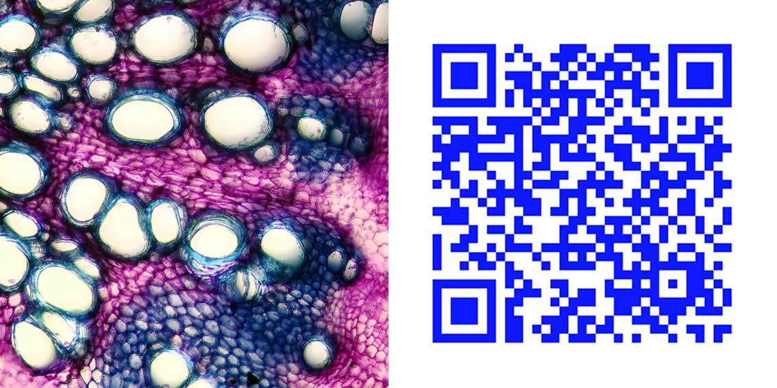qr12.jpg