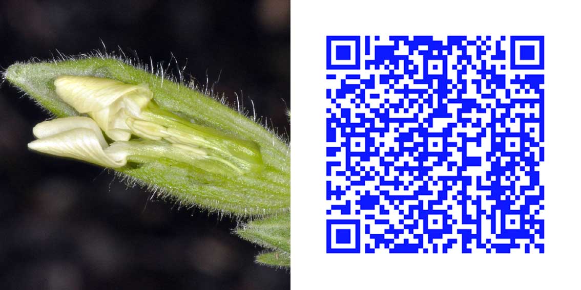 qr2_5.jpg