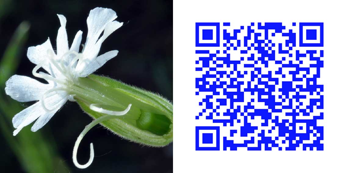 qr4_3.jpg
