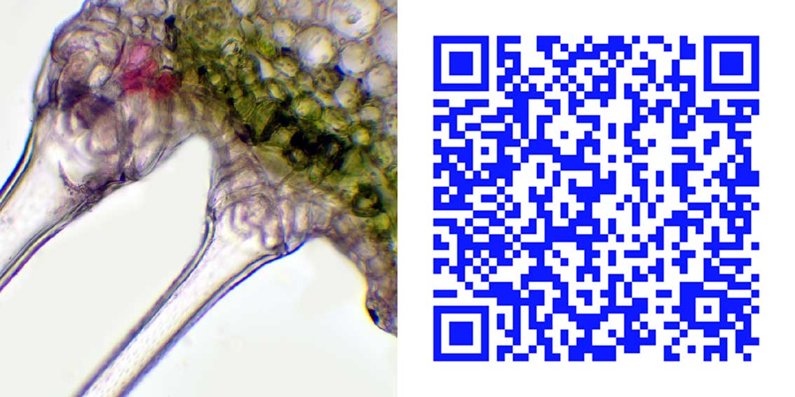 qr7_1.jpg