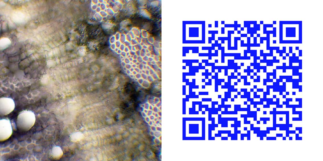 qr9_1.jpg