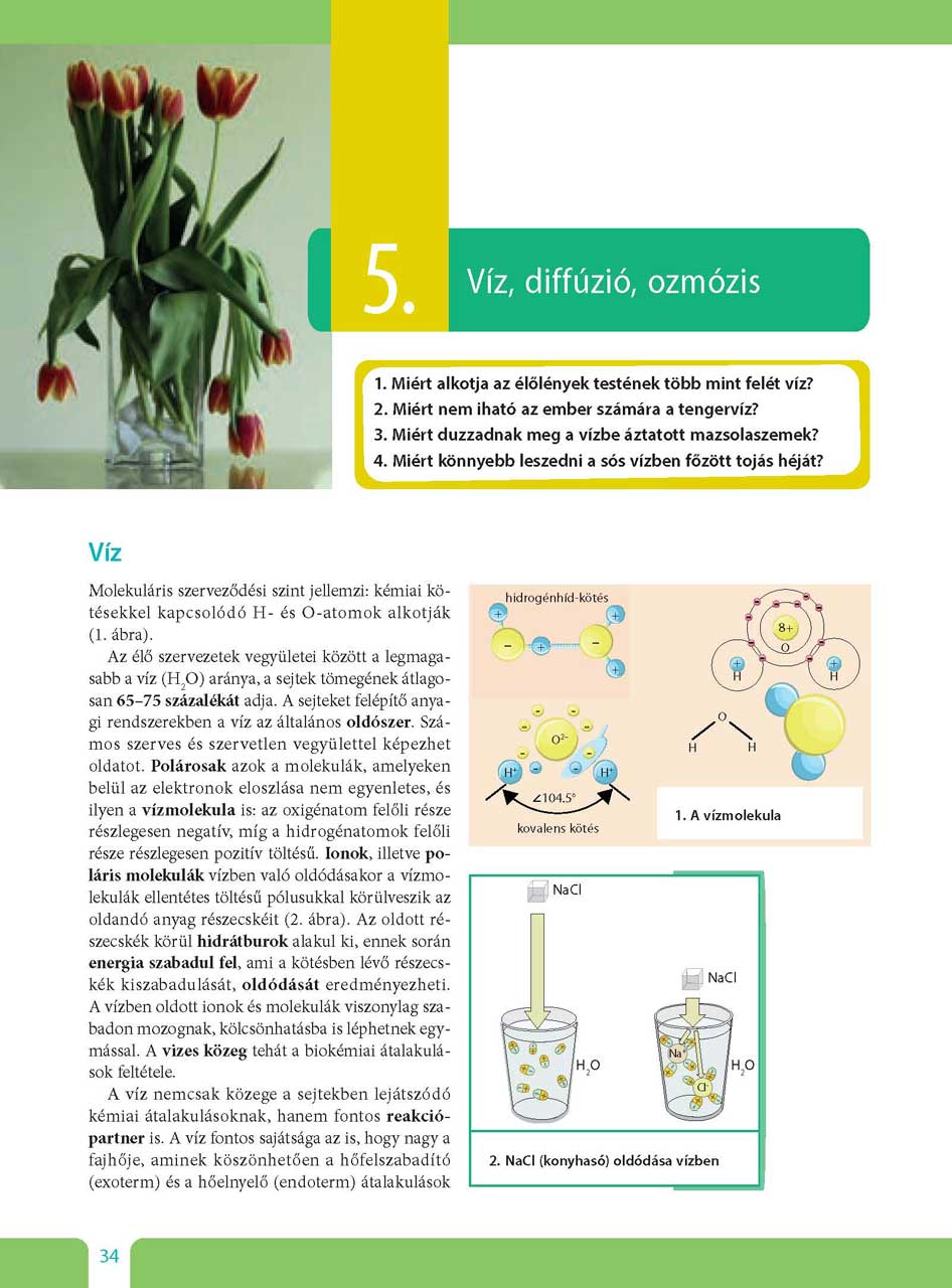 oh-bio09ta_teljes_page_034.jpg