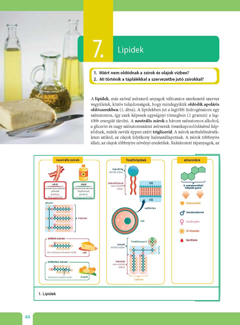 oh-bio09ta_teljes_page_044.jpg