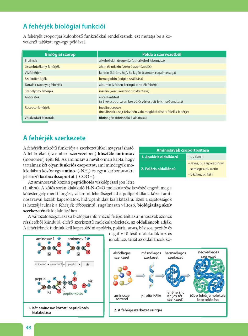 oh-bio09ta_teljes_page_048.jpg