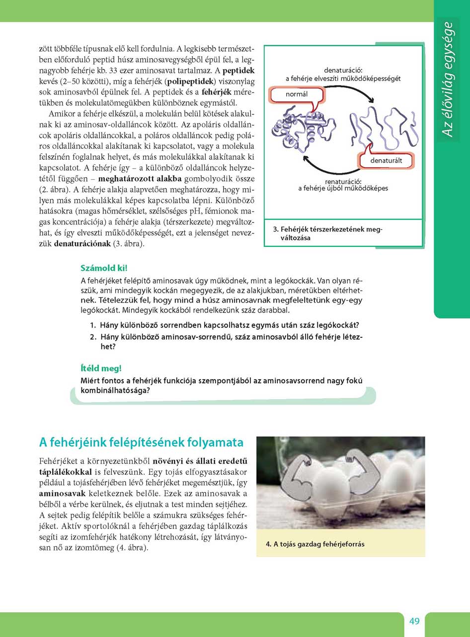 oh-bio09ta_teljes_page_049.jpg