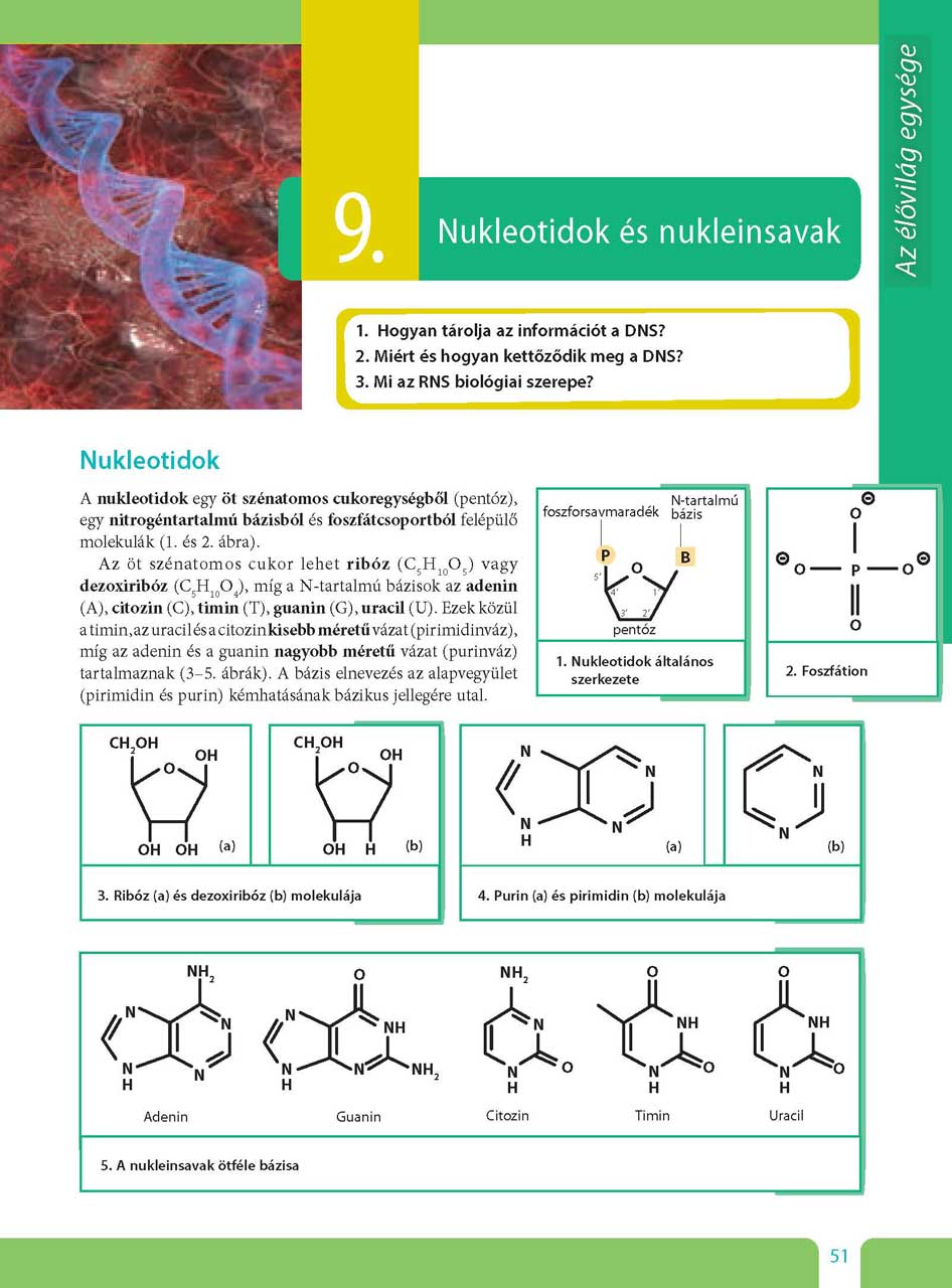 oh-bio09ta_teljes_page_051.jpg