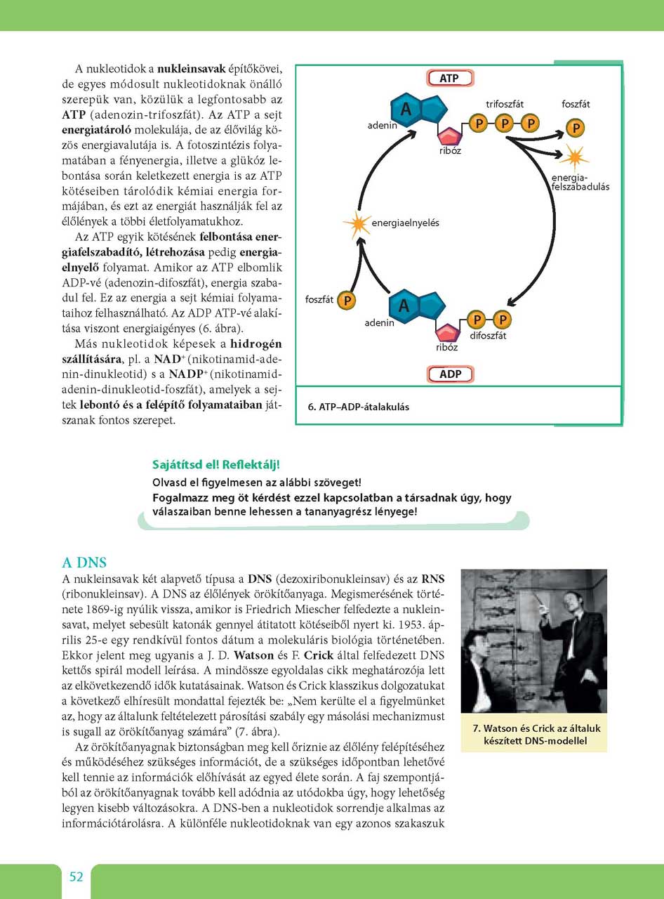 oh-bio09ta_teljes_page_052.jpg