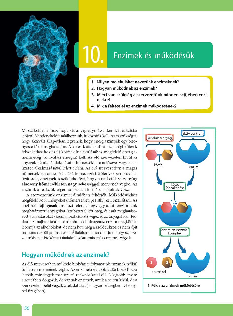 oh-bio09ta_teljes_page_056.jpg