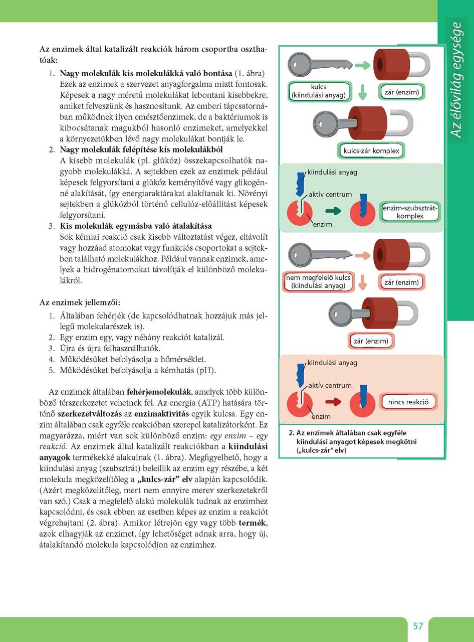 oh-bio09ta_teljes_page_057.jpg