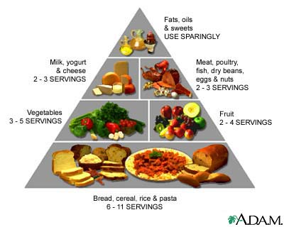 food_pyramid.png