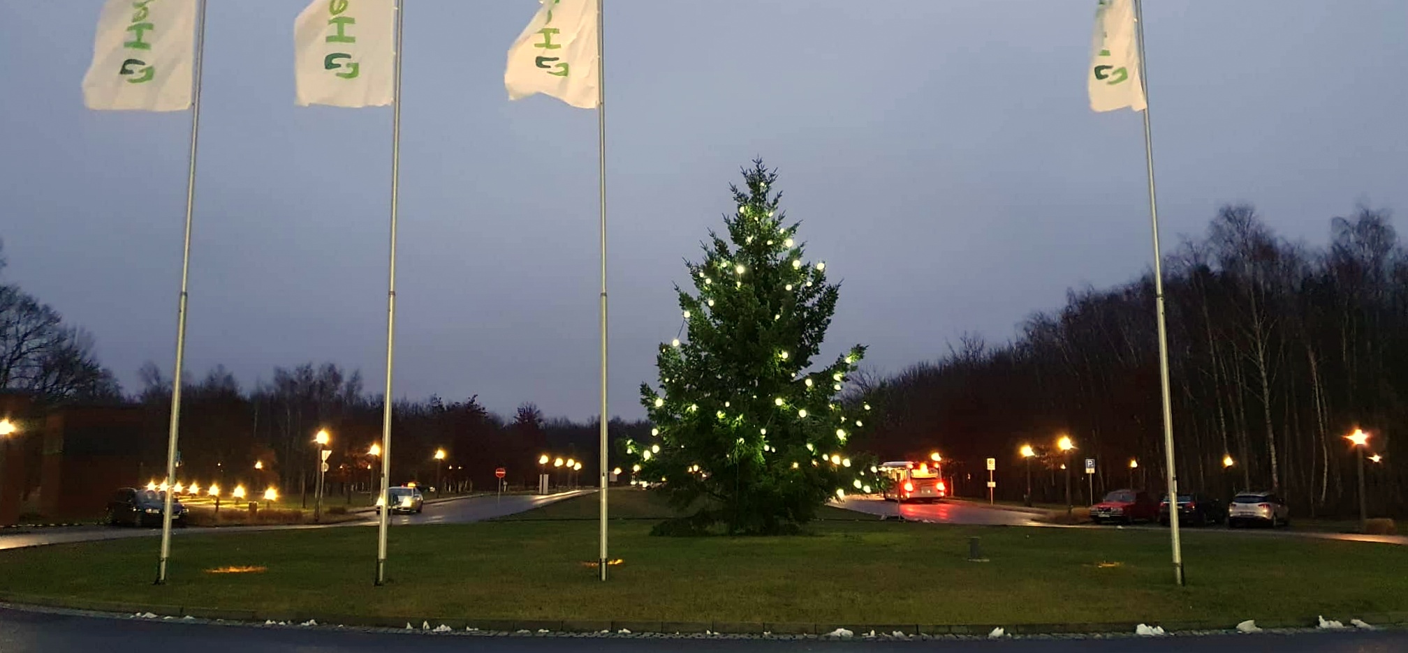 weichnachtsbaum_buch.jpg